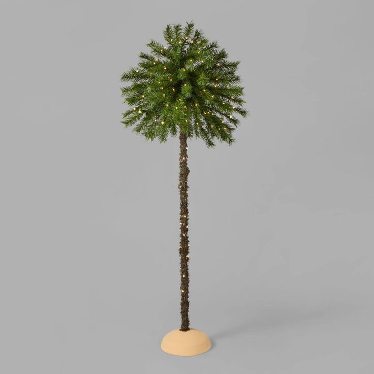 a small palm tree with lights on it