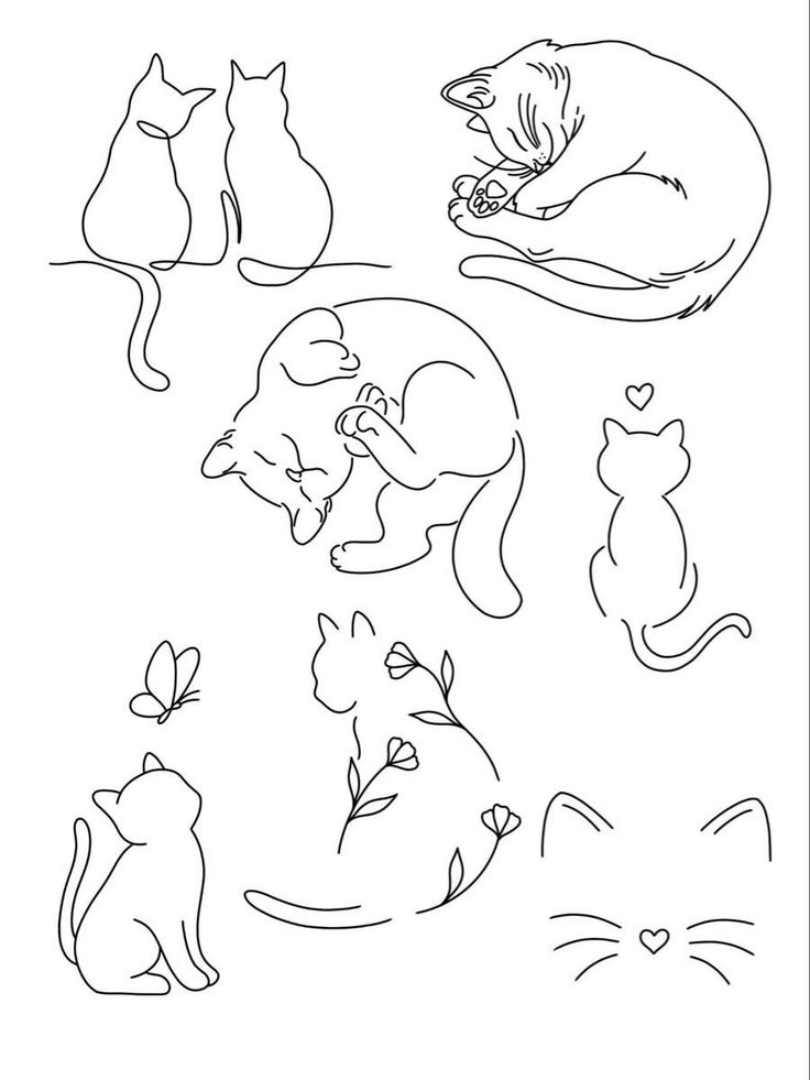 cats and kittens coloring pages