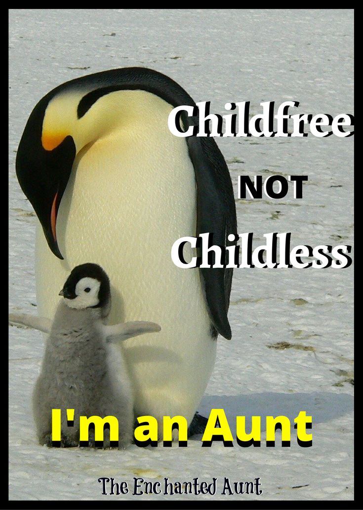 an image of a penguin and its chick in the snow with text that reads, i'm an adult