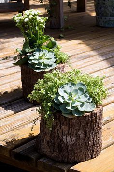 three wooden planters with plants growing out of them sitting on a wood deck in the sun