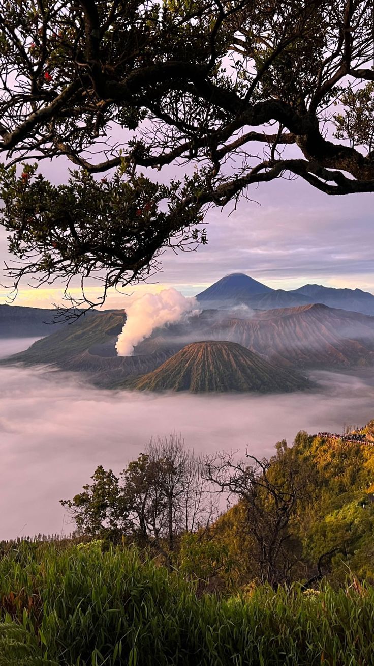 the mountains are covered with clouds and trees in the foreground, as seen from above