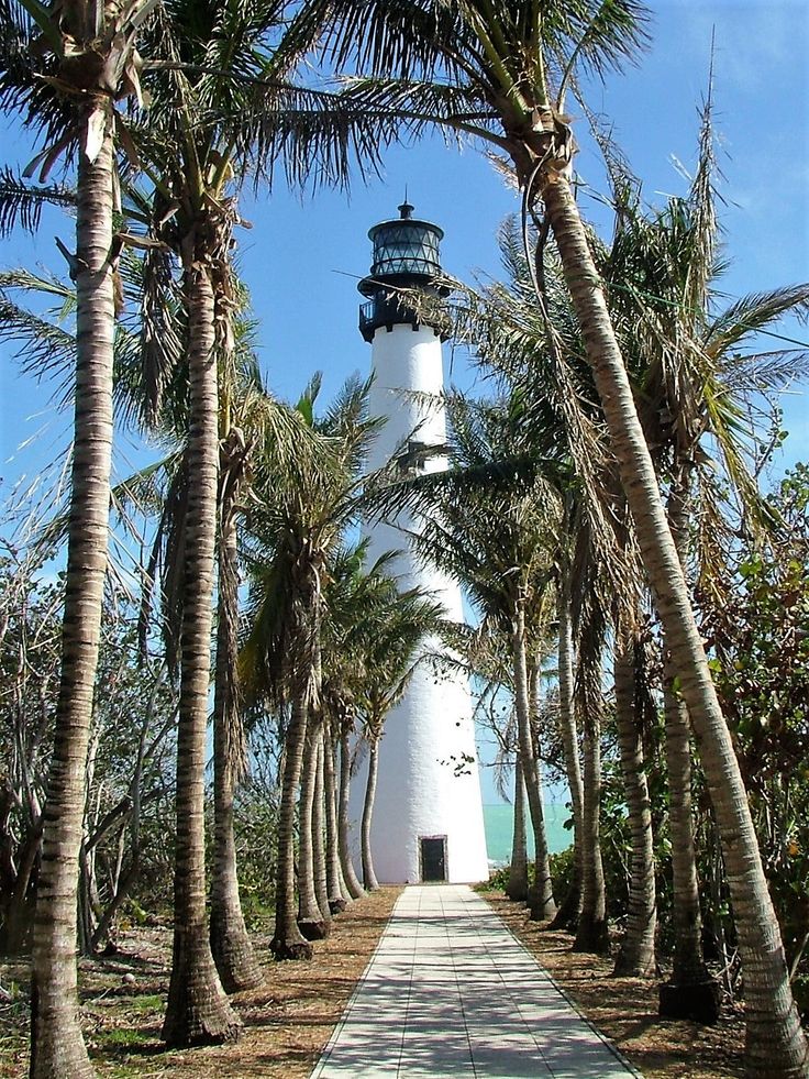 a white light house surrounded by palm trees