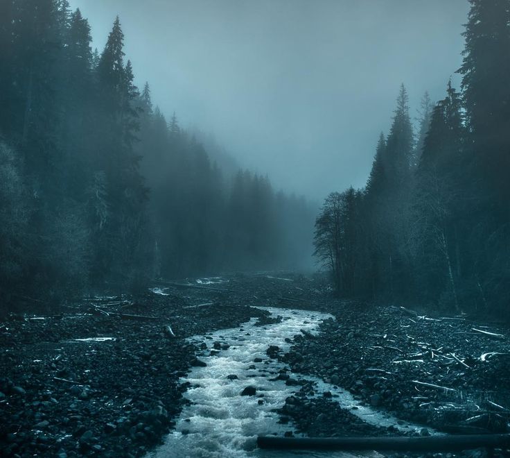 a river running through a forest filled with lots of rocks and trees on a foggy day