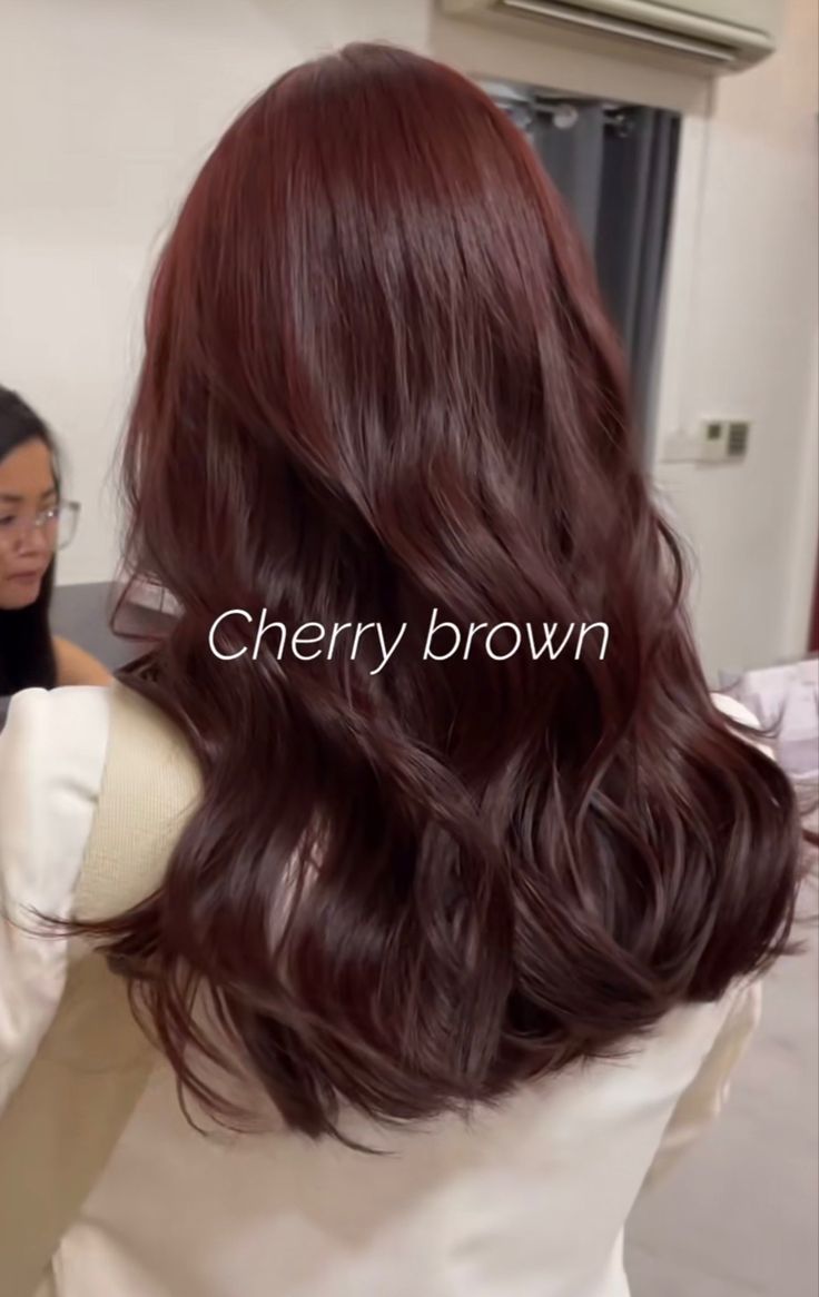 Hair Colors That Grow Out Well, Rustic Brown Hair Color, Red Brown Shag Hair, Hair Color That Makes Your Skin Lighter, Popular Korean Hair Color, Cool Tone Red Brown Hair, Medium Brown Red Hair Color, Dark Brown Hair With Auburn Undertones, Hair Color Inspo For Brown Skin