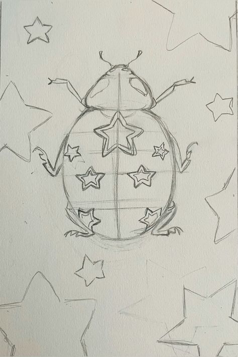 a drawing of a bug with stars on it's back and the top part of its body