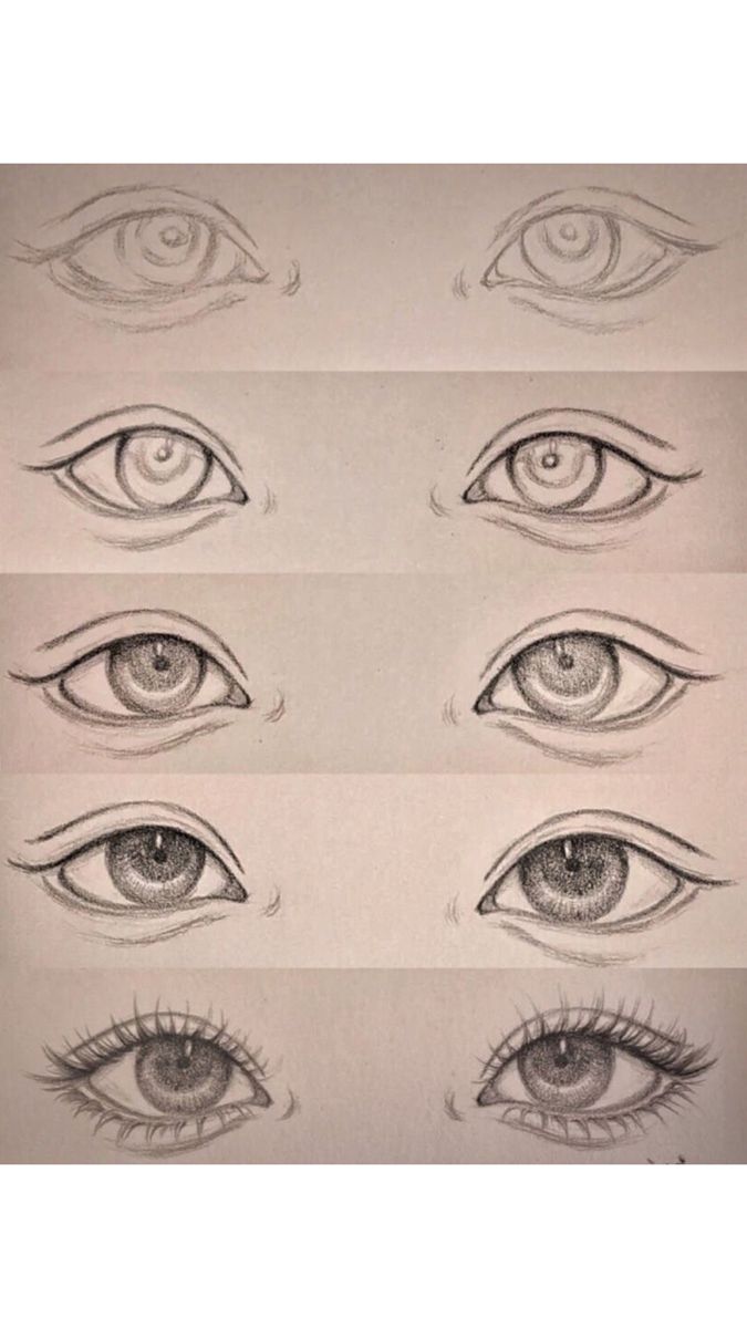 four different types of eyes are shown in this drawing