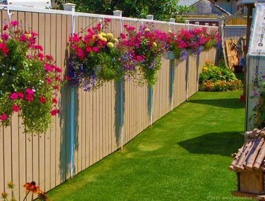 three different types of flowers hanging on the side of a fence