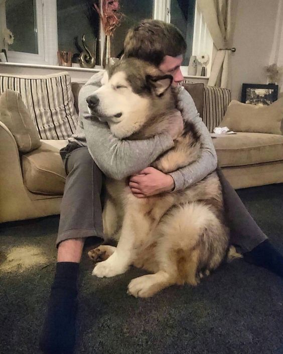 a man sitting on the floor with his dog in front of him, hugging it's face