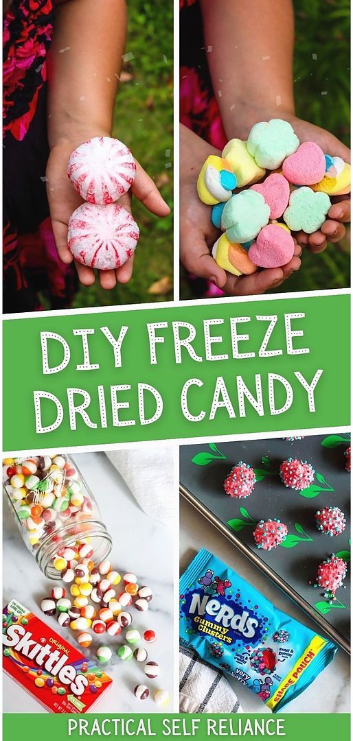 diy freeze dried candy collage with text overlay