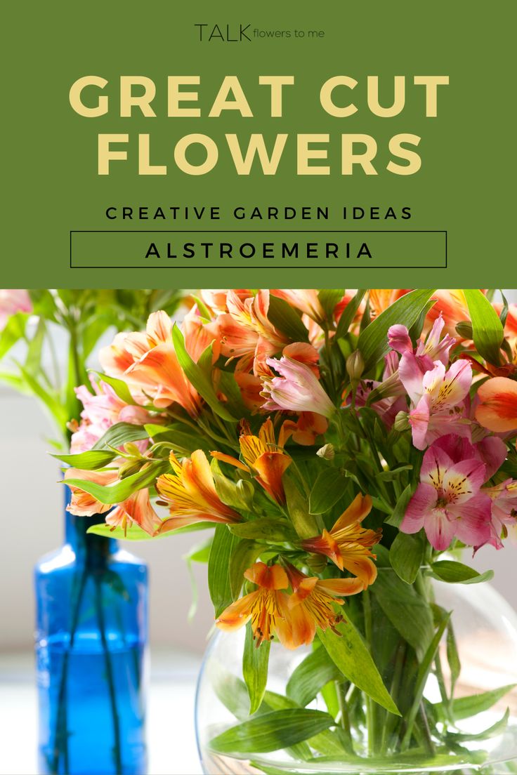 flowers in vases with text that reads, talk great cut flowers creative garden ideas alstroemeria