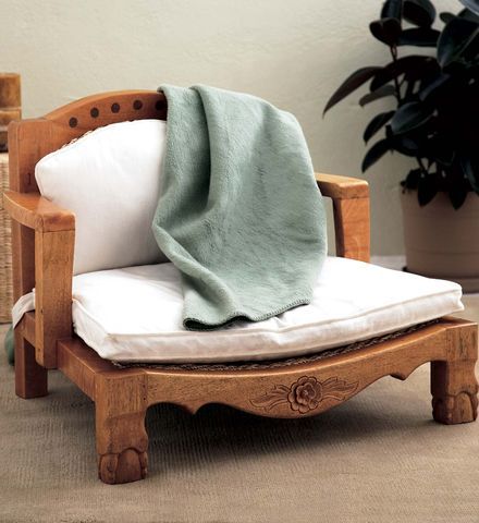 a chair with a blanket on top of it and a potted plant in the background