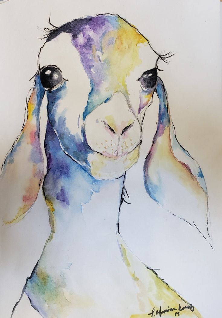 a watercolor painting of a goat's face