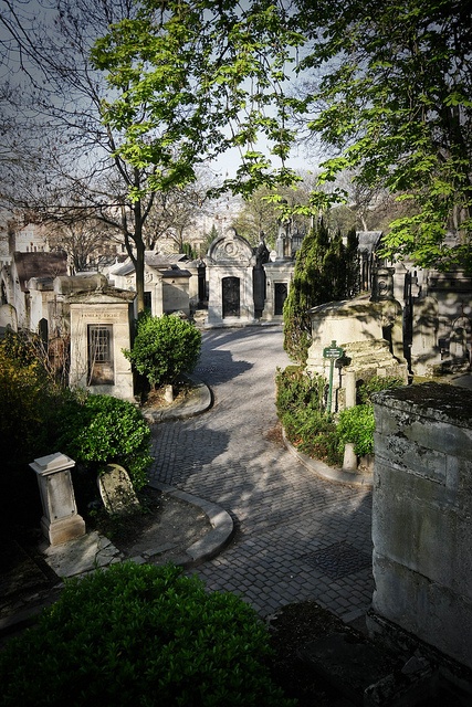 an old cemetery with trees and bushes in the foreground