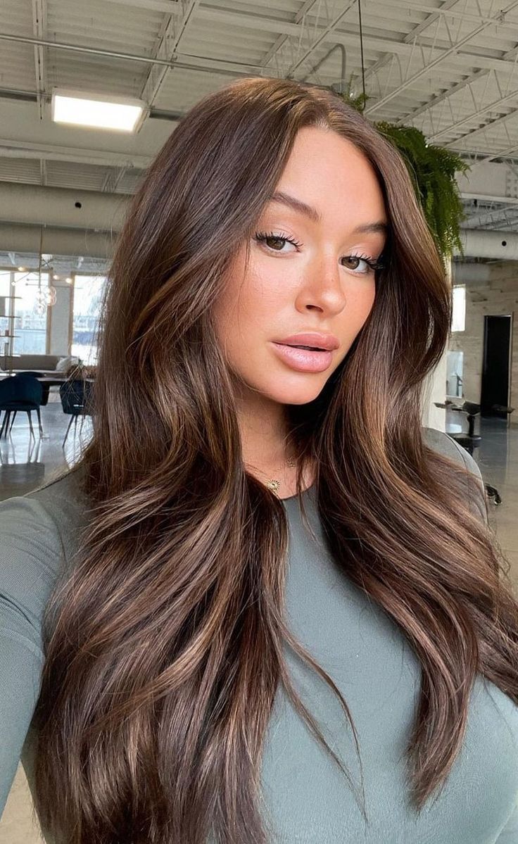 rich aesthetic Brown Hair Refresh, Brunette Tones Chart, Brown Hair With A Blonde Money Piece, Brown Bronze Hair Color, Chestnut Brown Hair With Dimension, Brunette Highlights With Money Piece, Bronde Dimension Hair, Brunette With Subtle Dimension, Old Money Piece Hair