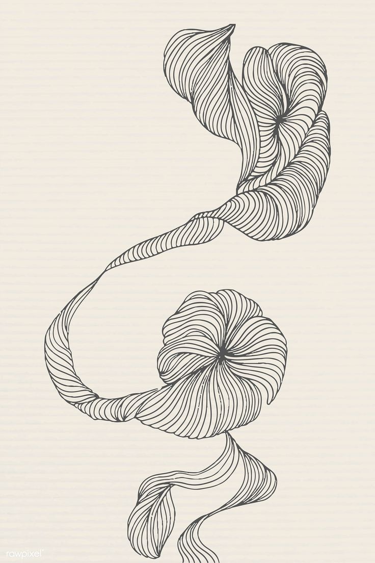 an abstract drawing with wavy lines in the shape of a spiral, on a white background