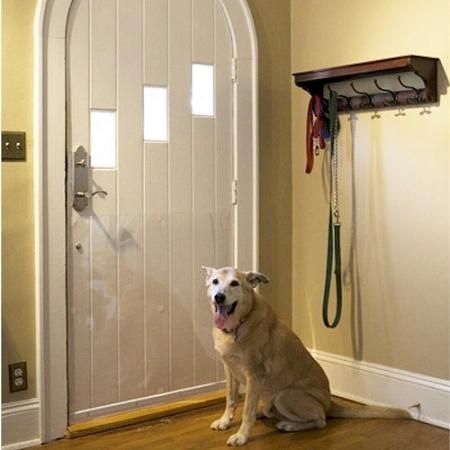 a dog sitting on the floor in front of a door