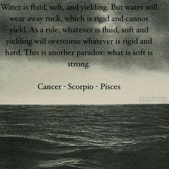 a black and white photo with a quote about water