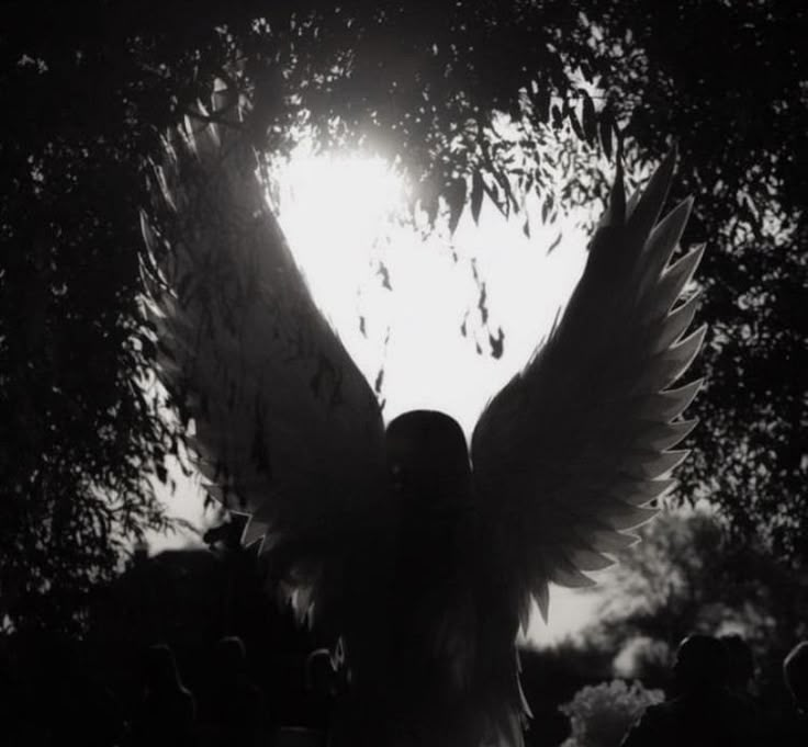 an angel with white wings standing in front of the sun