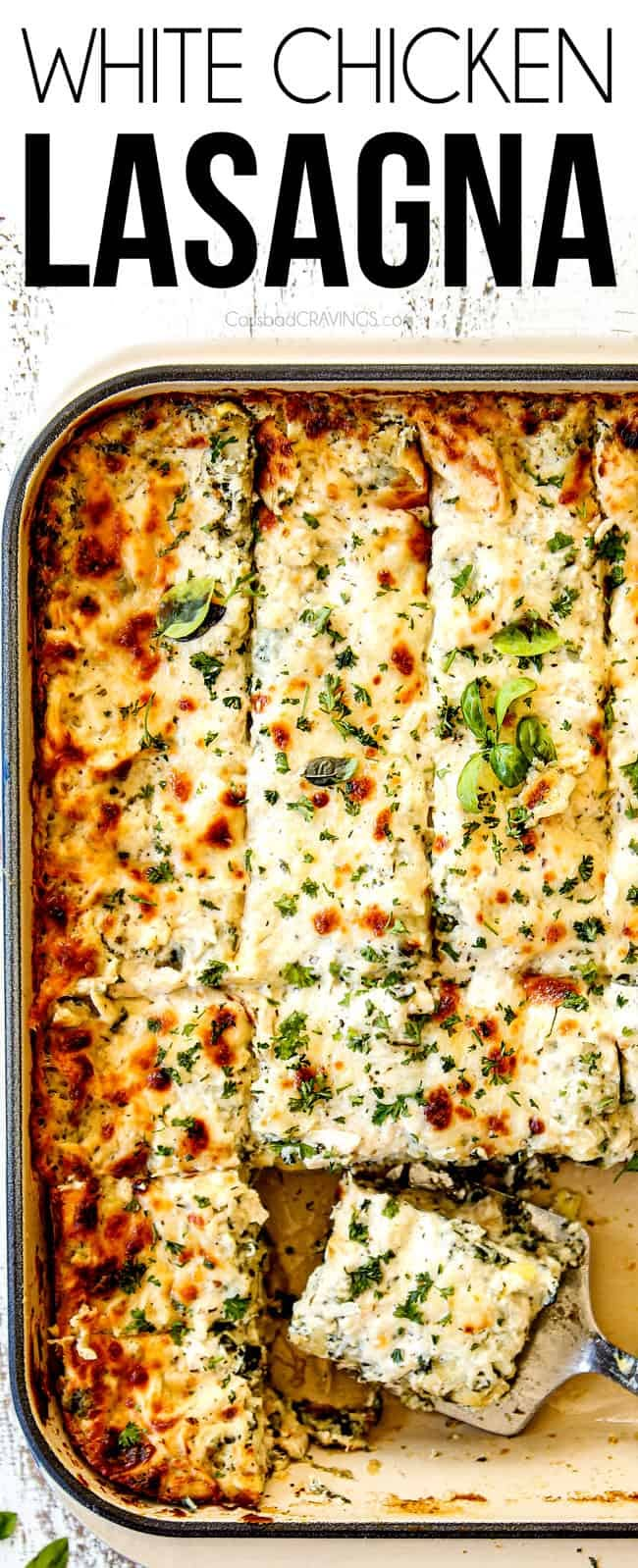 white chicken lasagna in a casserole dish