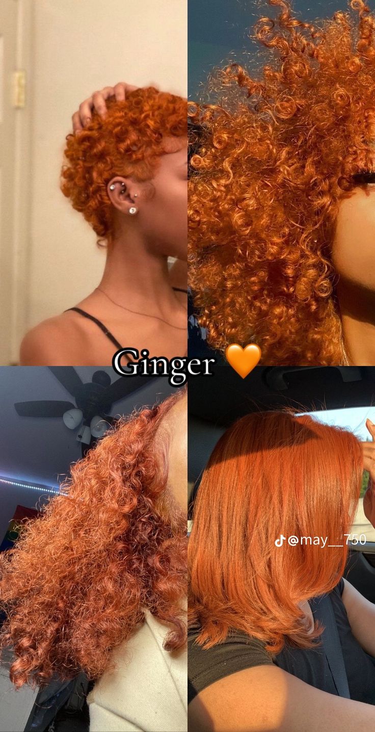 Ginger Black Women Natural Hair, Hi Color Hair Dye, 360 Hair Color, Hair Color Inspo Natural, Light Skin Hair Dye Ideas, Mixed Hair Dye Ideas, Different Dyed Hair Colors, Darker Hair Dye Ideas, Dyed Back Of Hair