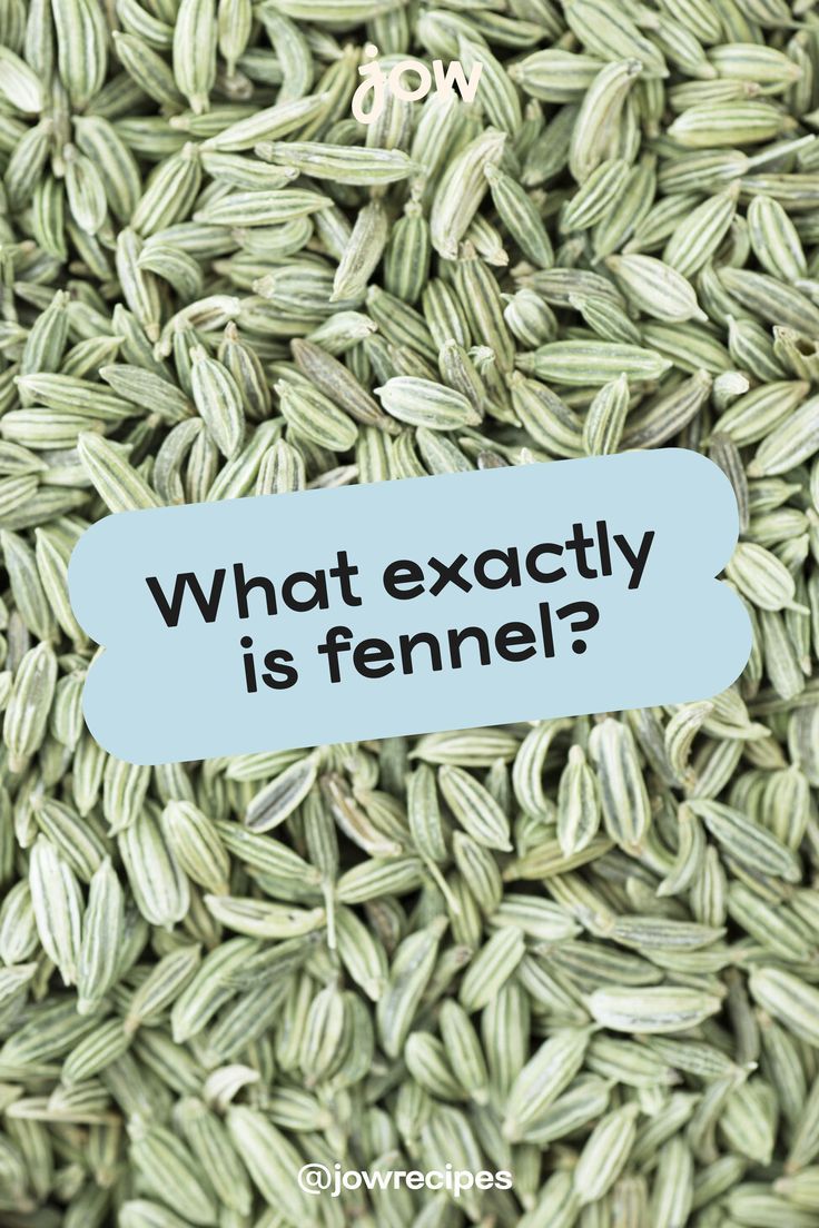 A close-up image of fennel seeds: they are long & pod-shaped, light green, with small radial ridges. Produce Bin, Fennel Seeds, Health Facts, Fennel, Self Improvement Tips, Recipe Using, How Can, Easy Recipes, Self Improvement