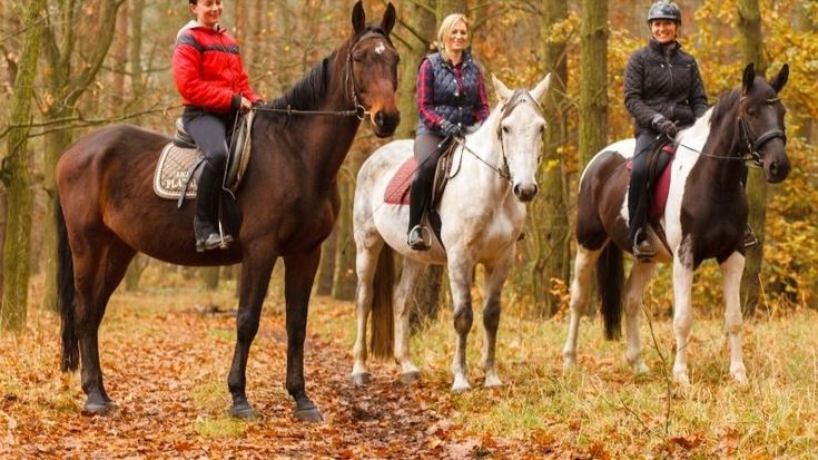 Pam at Success Under Saddle