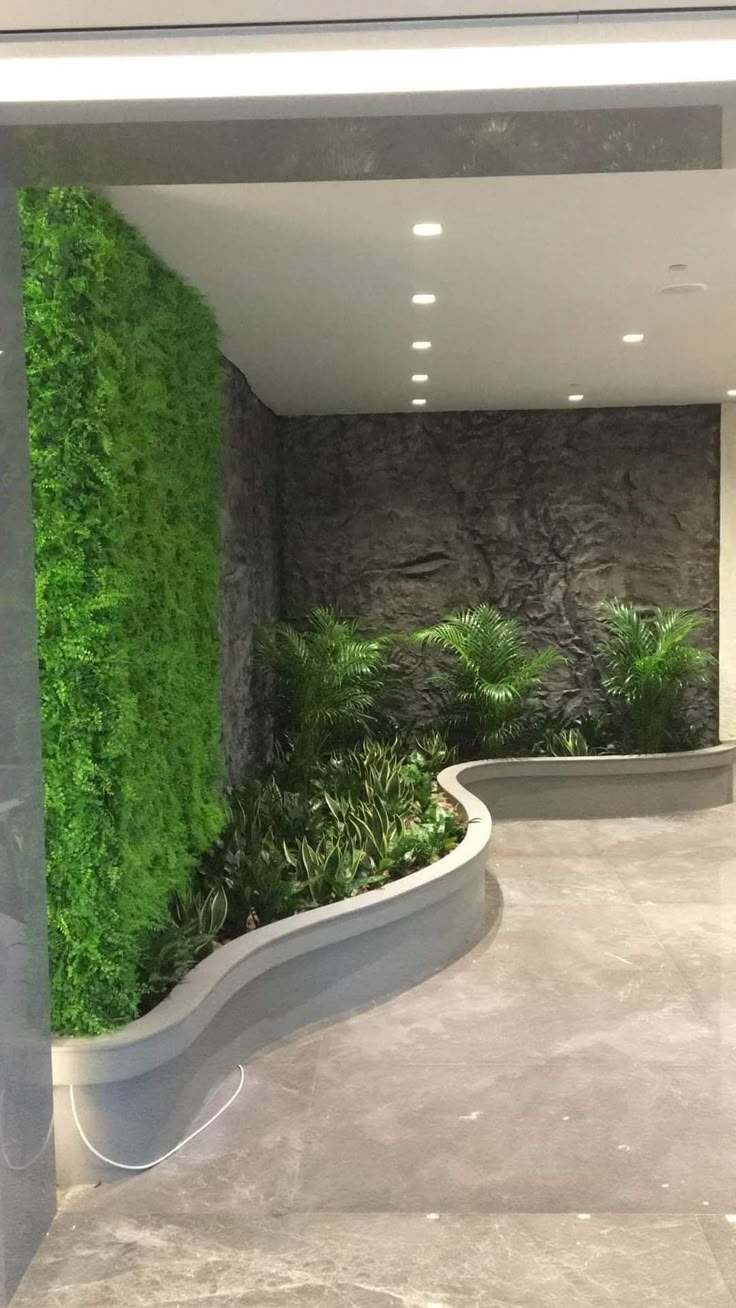 an indoor planter with grass growing on the wall and in front of it is a curved bench