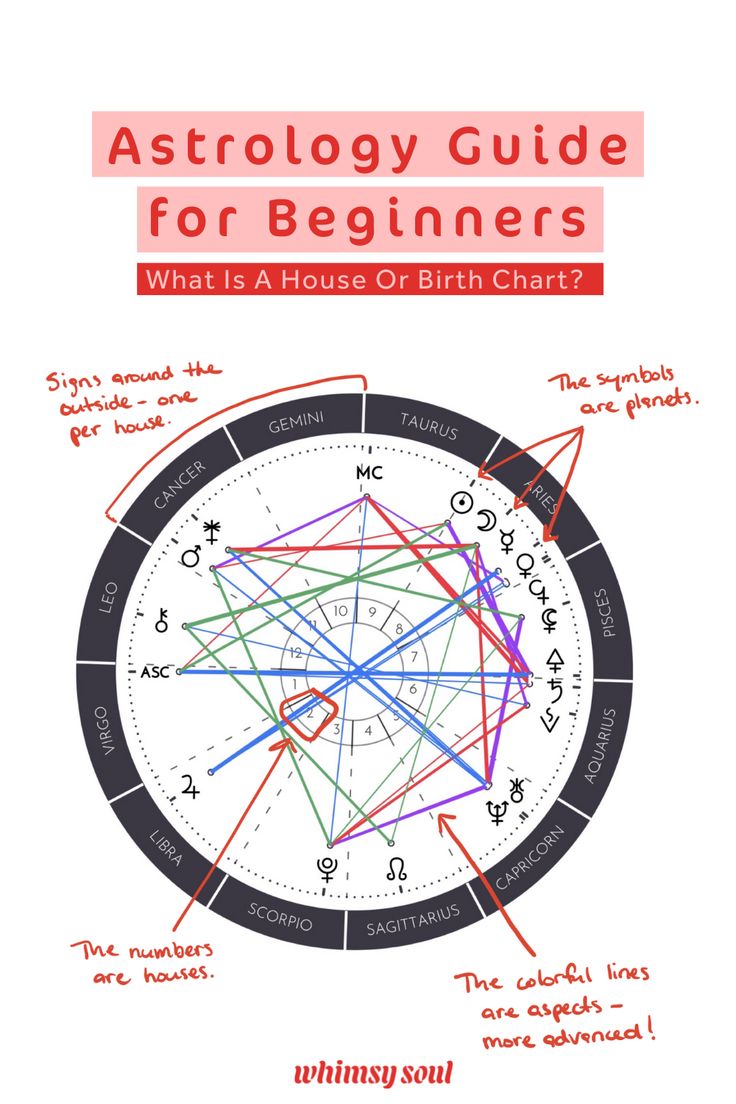 an astrology guide for beginners with the text, what is a house or birth chart?