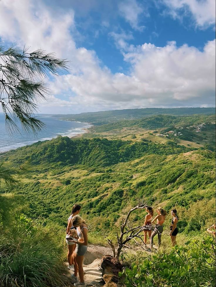 some people are walking up a hill by the ocean