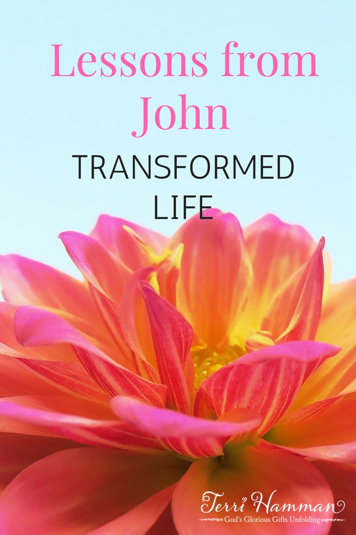 a pink and yellow flower with the words lessons from john transformed life written on it