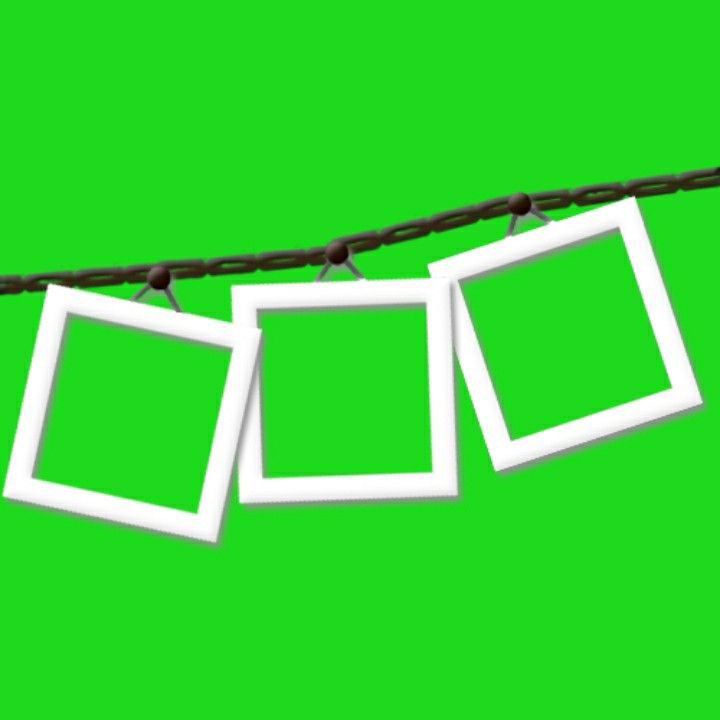 three frames hanging on a wire against a green background