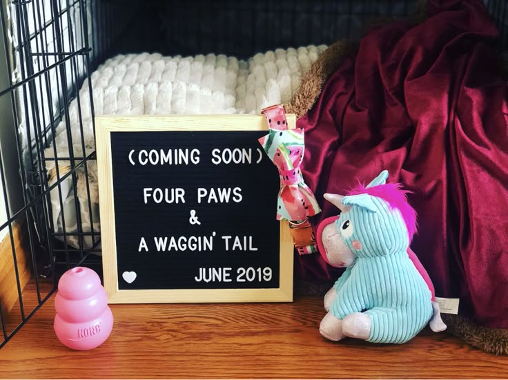 two stuffed animals sitting next to a sign that says coming soon four paws and a waggin'tail june 2019