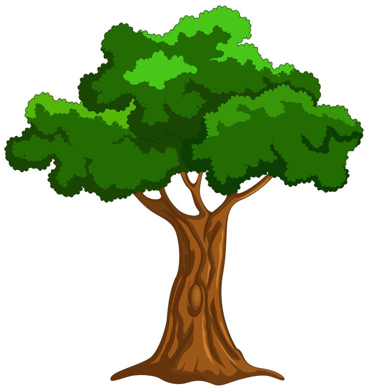 a cartoon tree with green leaves and brown trunk, on a white background stock photo