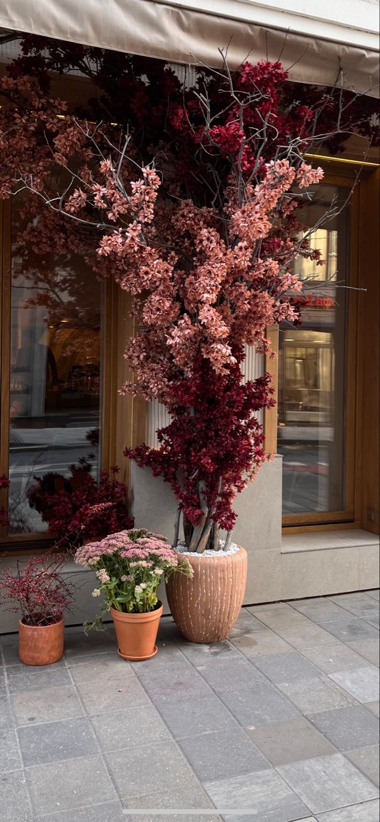 two potted plants sitting next to each other in front of a building