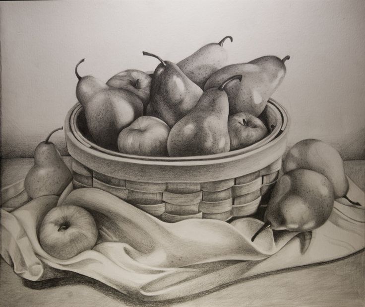 a pencil drawing of pears and apples in a basket