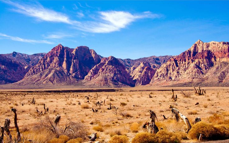 mountains in the distance with dry grass and bushes