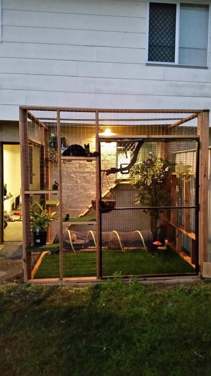 an outdoor area with grass and plants in it