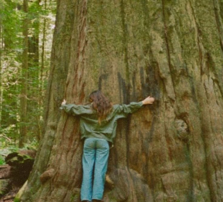 a woman standing next to a large tree in the forest with her arms stretched out