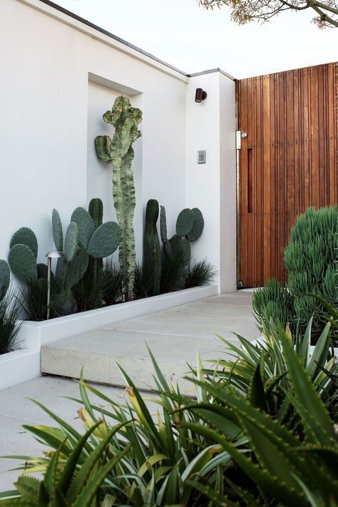 a house with cactus plants in front of it and a wooden door on the side