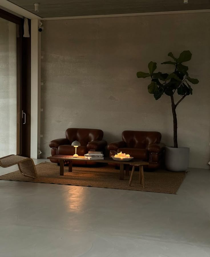 a living room filled with furniture and a potted plant