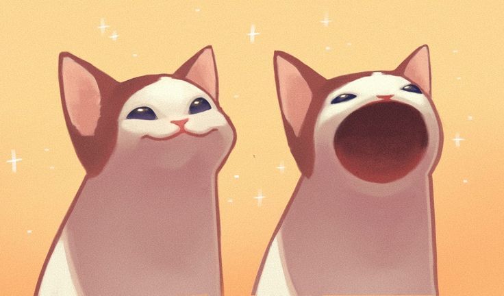 two cats are standing next to each other with their mouths open and eyes wide open