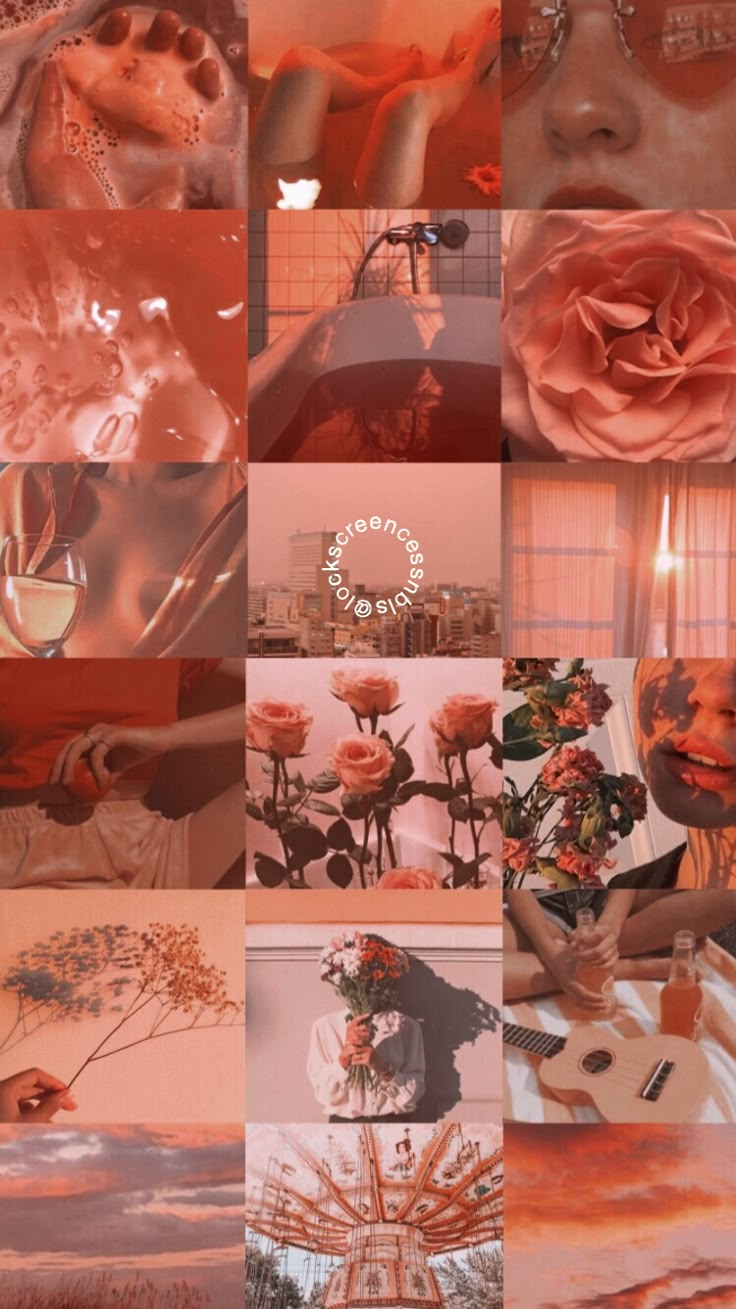 a collage of images with pink flowers and oranges on them, including roses