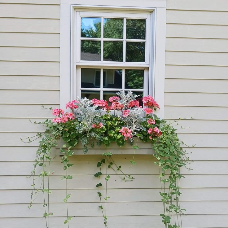 a window box filled with pink flowers and greenery