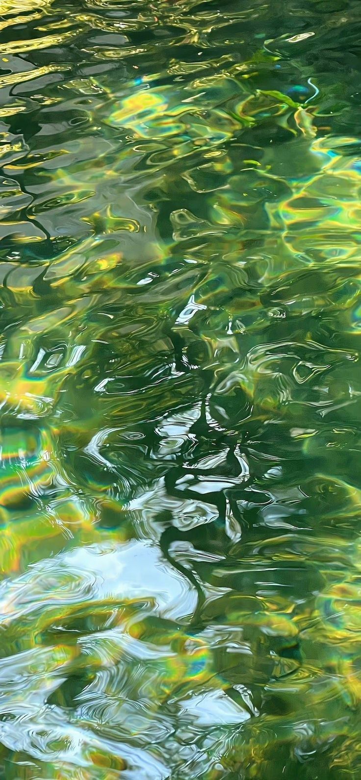 the water is very green and has many ripples on it's surface, as well as trees in the background