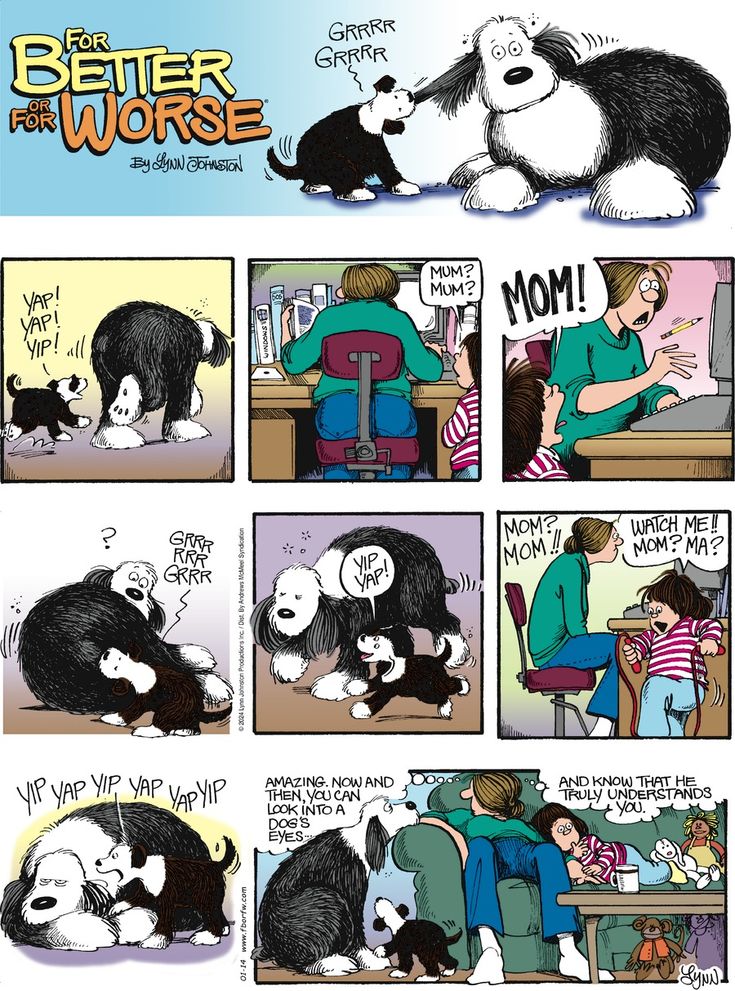 the comic strip shows how dogs are able to use each other's hands for comfort