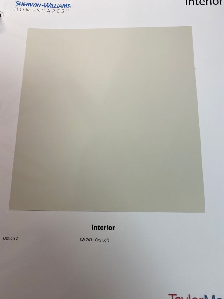 the interior paint color is white and has a light gray tint to it's surface