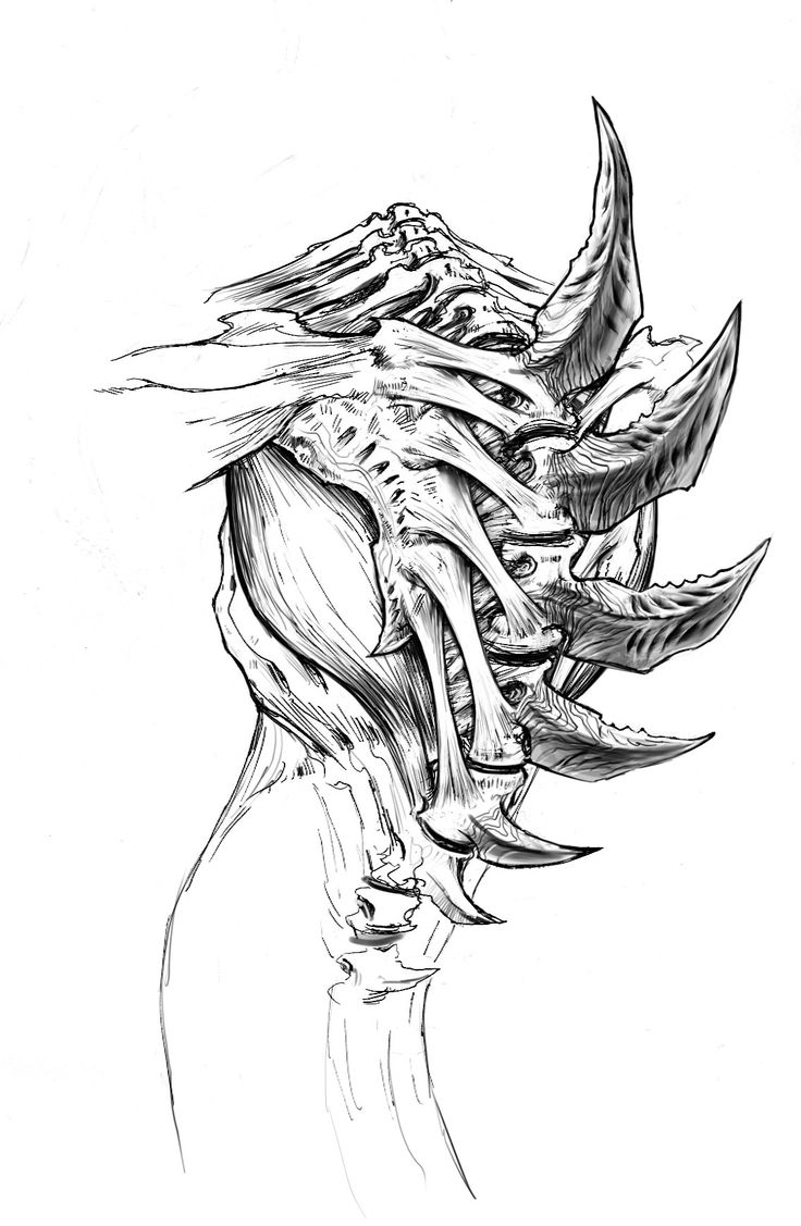 a black and white drawing of an alien head with long, curved horns on it