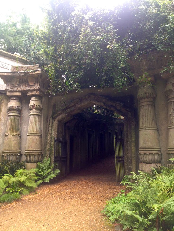 the entrance to an old stone building with vines growing over it