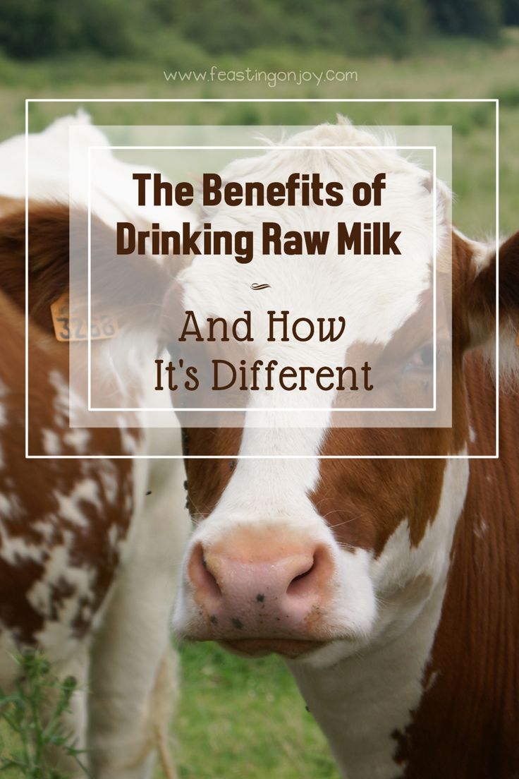 The Benefits of Drinking Raw Milk and How It's Different | Feasting On Joy Westin A Price, Cow Milk Benefits, Jersey Cow Milk, Farm Layout Ideas, Milk Facts, Family Milk Cow, Milking A Cow, Balance Eating, Benefits Of Milk