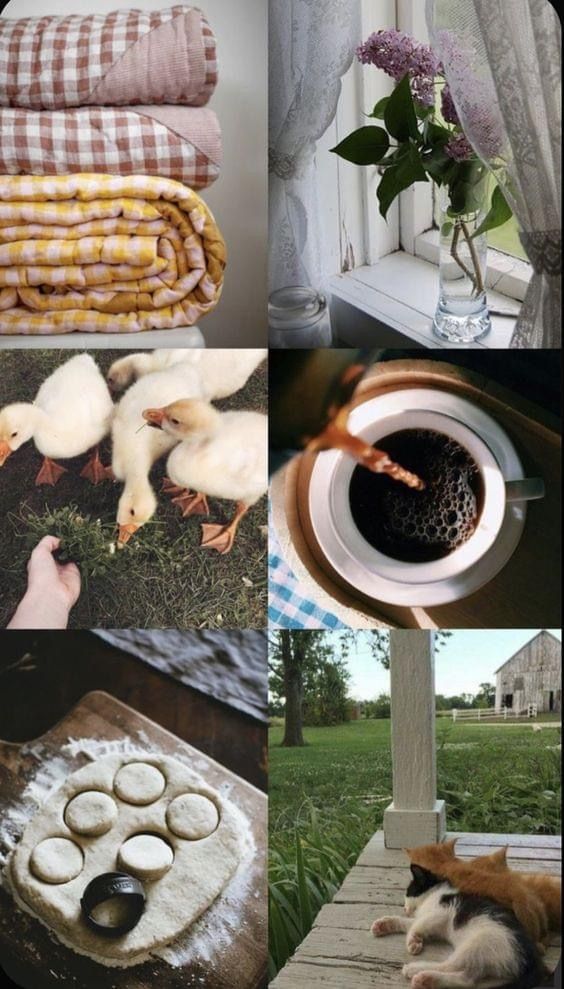 Cottagecore Slow Living, Homemaking Aesthetic, Domestic Aesthetic, Live Slowly, Slow Living Aesthetic, Happy Homemaking, Future Farms, Cottage Aesthetic, Slow Life